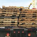 Freeway Jenga anyone? - Photo by Curtis Fitzgerald, Gulf Coast Chapter