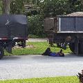 Trucking through the day. - Photo by Thomas Van Hooser, Gold Coast Chapter