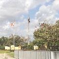 Harry, I don't think that's what the boss meant by 'run it up the flagpole. . . . - Photo by Michael Stone, Florida Suncoast Chapter