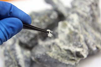 Macro photograph of chrysotile asbestos fibers